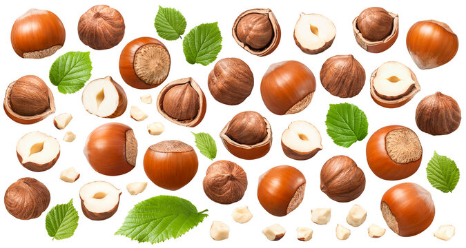 Set of hazelnuts, green leaves and small nut pieces isolated on white background. Collection #2-3