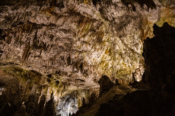 Under the ground. Beautiful view of stalactites and stalagmites in an underground cavern - Postojna cave, Slovenia, Europe