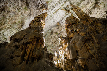 Under the ground. Beautiful view of stalactites and stalagmites in an underground cavern - Postojna...