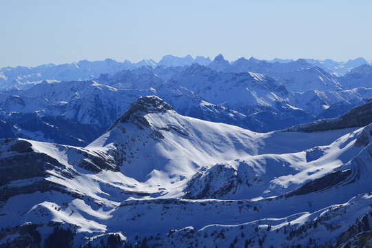 รูปภาพZimba เลือกดูภาพถ่ายสต็อก เวกเตอร์ และวิดีโอ428 Adobe Stock