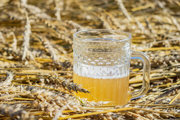 A half full glass of unfiltered beer stands on wheat stalks and ears in a field