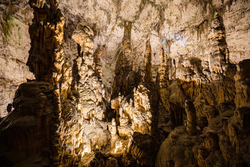 Under the ground. Beautiful view of stalactites and stalagmites in an underground cavern - Postojna cave, Slovenia, Europe