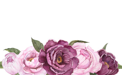 Flower watercolor illustration of peonies isolated, bouquet of flowers, horizontal banner