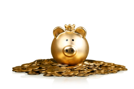 Golden piggy bank surrounded by coins - isolated image