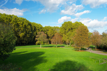 Plakat a beautiful green park Schlossgarten in Stuttgart on a sunny day, Germany