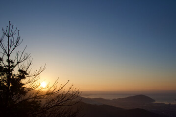 Obraz premium 日の出と木のシルエット