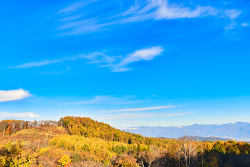 Naklejka premium 色付く紅葉と澄み渡る秋空