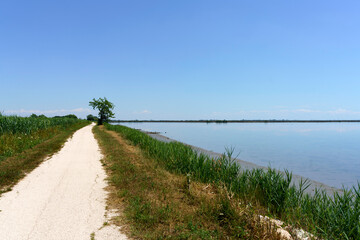 Fototapeta na wymiar Landscape along the cycleway of Sile river in Venice province