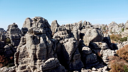 Arte de la Naturaleza