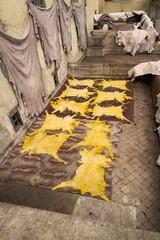 Men working at Chouara tannery in the old town of Fez