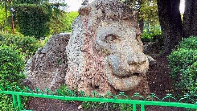 The Lion statue in Ifran, Morocco