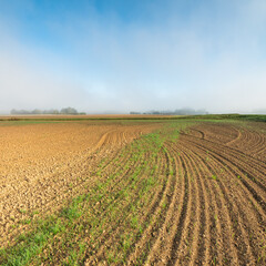 Fototapeta na wymiar plowed field in the country