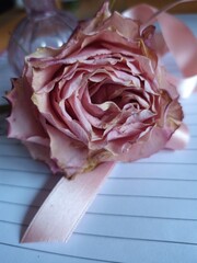 Rose on a paper