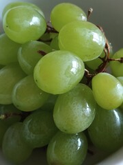 grapes on the vine