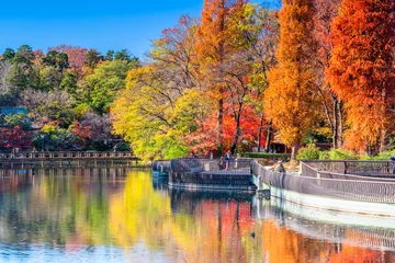 Fotobehang 東京　井の頭公園の紅葉 © momo
