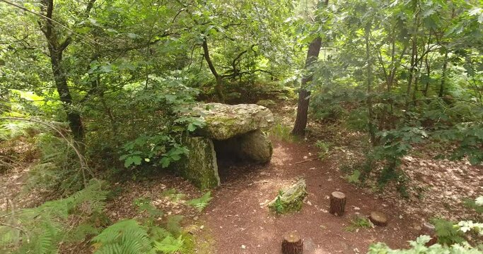 Dolmen de la Rangeardière, au coeur de la Forêt de Fontaine Guérin (49)