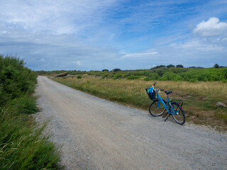 Fototapeta na wymiar Vélo, piste cyclable sur l'Île d'Yeu, Vendée, Pays de la Loire, France 