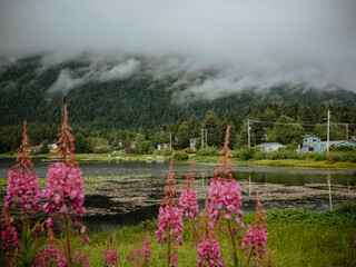 Scenery view of the Swan Lake at Halibut point road, Sitka, Alaska. - obrazy, fototapety, plakaty