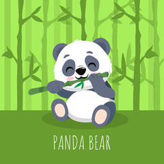 Cute cartoon panda in bamboo forest.Panda cub eating bamboo.
