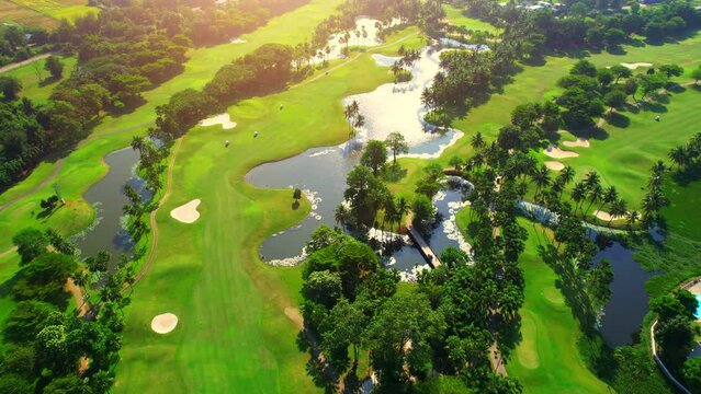 Aerial view over golf field landscape during sunrise. Hobby and sports concepts. summer day. green background. drone 4K
