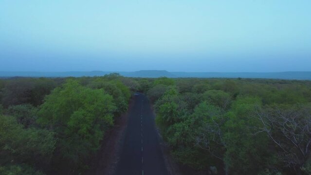 Aerial Drone shot of Road through a forest at Kuno National Park in morning time