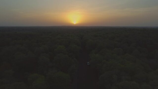 Aerial Drone shot of Road through a forest at time of sunrise in Kuno National Park