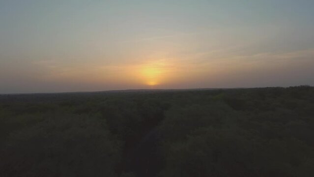 Aerial Drone shot of Road through a forest at time of sunrise in Kuno National Park