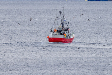 Obraz premium Fishing boat out on the fishing field, Tilremsvaagen, Helgeland, Nordland county