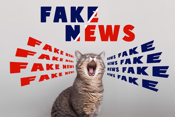 The cat is screaming fake news. Fake news concept. The cat tells the news of the world. World...