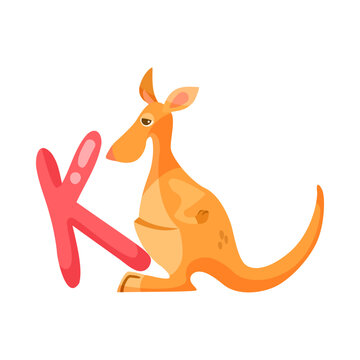 Kangaroo character with alphabet letter k vector illustration. Cute comic animal with ABC for preschool children book isolated on white background. Education concept