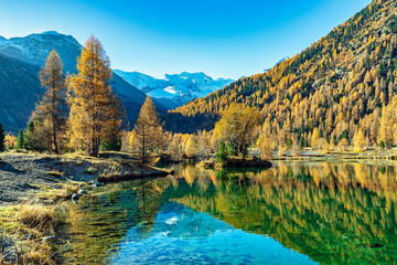 Ein sonniger Herbsttag im Engadin, Morteratsch, Pontresina, Graubünden, Schweiz