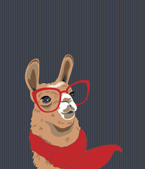 portrait of a lama with a red scarf in red glasses © Daria