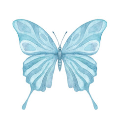 Butterfly watercolor_9