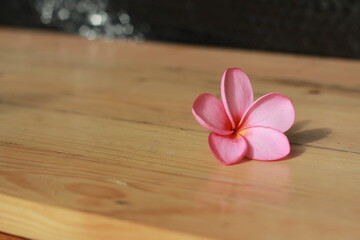Fototapeta na wymiar Pink Plumeria Flower on wood Table. Pink Plumeria so Beautiful.
