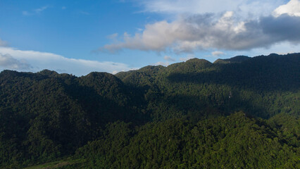 Naklejka premium Tropical forest in Aceh Province, Indonesia