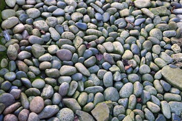 敷き詰められた沢山の丸い小石