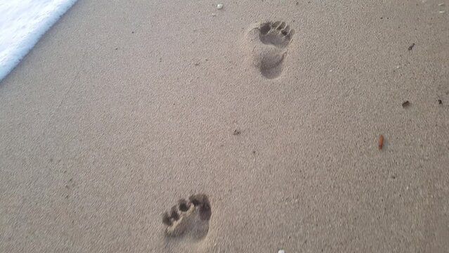 Footprints in the sand on the seashore