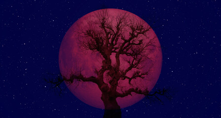 Lone tree with Lunar eclipse and blood moon 