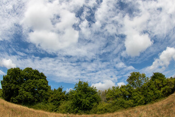 Fototapeta na wymiar beautiful blue sky with wispy clouds over trees and english countryside taken with a fisheye lens