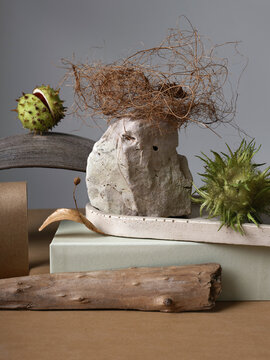 Still life with horse chestnuts in shell
