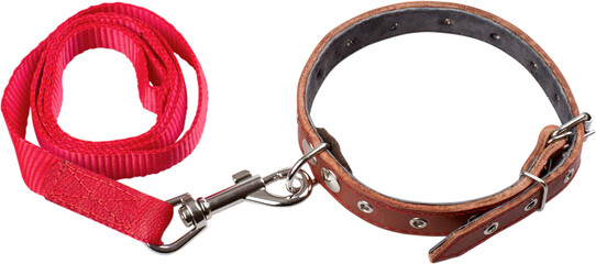 Dog Collar And Leash - Isolated