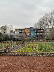 Obraz premium Beautiful Balat district - popular tourist attraction in Istanbul, Turkey.