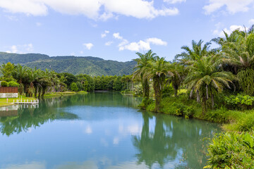 Fototapeta na wymiar Beautiful natural landscape with lake