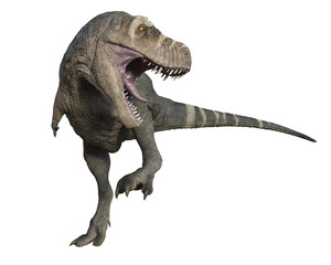 Obraz na płótnie Canvas Tyrannosaurus Rex attacking with mouth open.