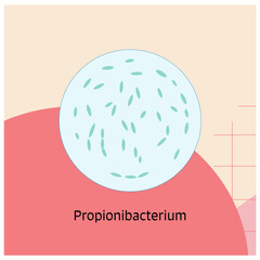 15 Bactery Theme Propionibacterium