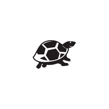 Turtle Icon Very Cool Design