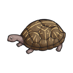 Turtle Icon Very Cool Design