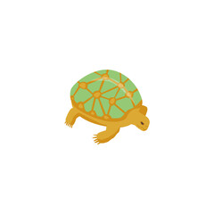 Turtle Icon Very Cool Design