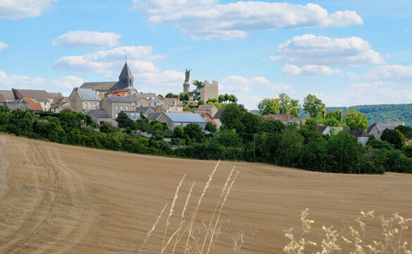 vineyards in the champagne region near Reims in France