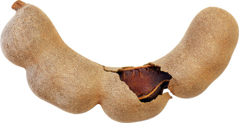 tamarind, delicious ripe tamarinds herb